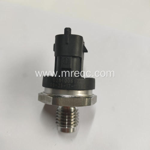 0281006176 Auto Parts Sensor